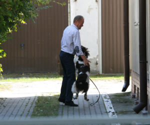 Tusk sprząta po psie