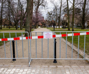 Dostali mandat za siedzenie w aucie 