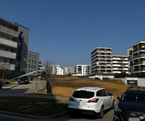 Aktywiści chcieli park, dostaną betonowe bloki. Chodzi o miejskie pole w Lublinie