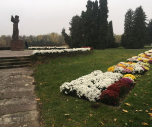 Chryzantemy od ARiMR
