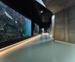 Egzotarium w Sosnowcu