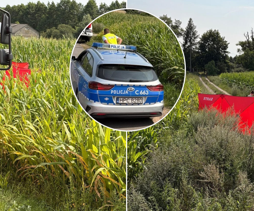 Wóz strażacki i parawan przy polu kukurydzy. Na miniaturze radiowóz. O tragedii w Lubówcu przeczytasz na Eska Toruń.