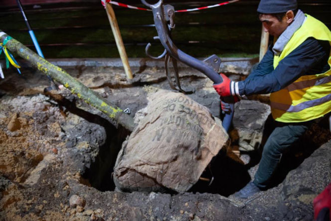 Znowu posadzili niemieckie drzewa w Warszawie. ZDM chwali się: „to zieleniarska NASA”