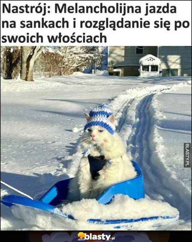 Najśmieszniejsze MEMY o zimie. Te obrazki są takie prawdziwe! 