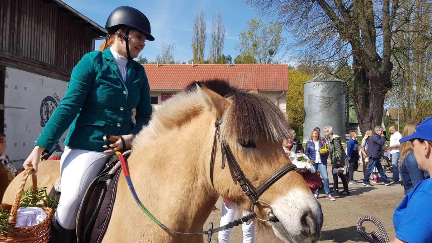 Święcenie pokarmów na koniach