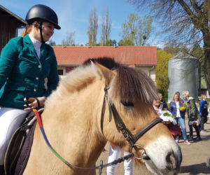 Święcenie pokarmów na koniach
