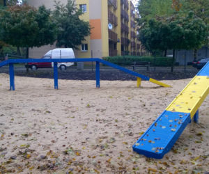 Dog Park 6