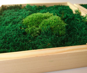 Green Decor