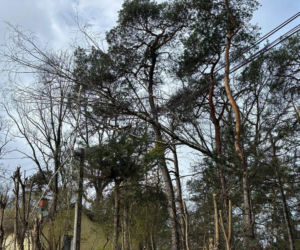 Interwencje Strażaków przy likwidacji szkód spowodowanych przez gwałtowny wiatr i burze