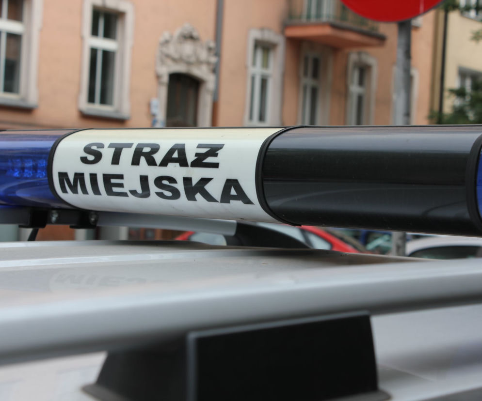 Poznań: Włamał się do samochodu i... zasnął! Rano miał niemiłą pobudkę!