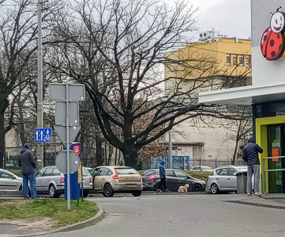 Biedronka