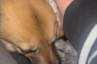 Ten sylwester był HORROREM. Gwiazda TVP ukrywała się pod ziemią