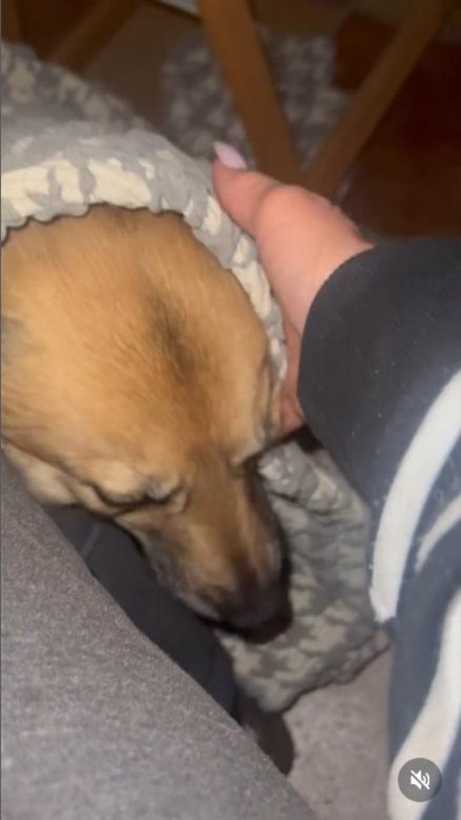 Ten sylwester był HORROREM. Gwiazda TVP ukrywała się pod ziemią