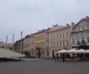 Ogródki na rynku w Rzeszowie już dostępne