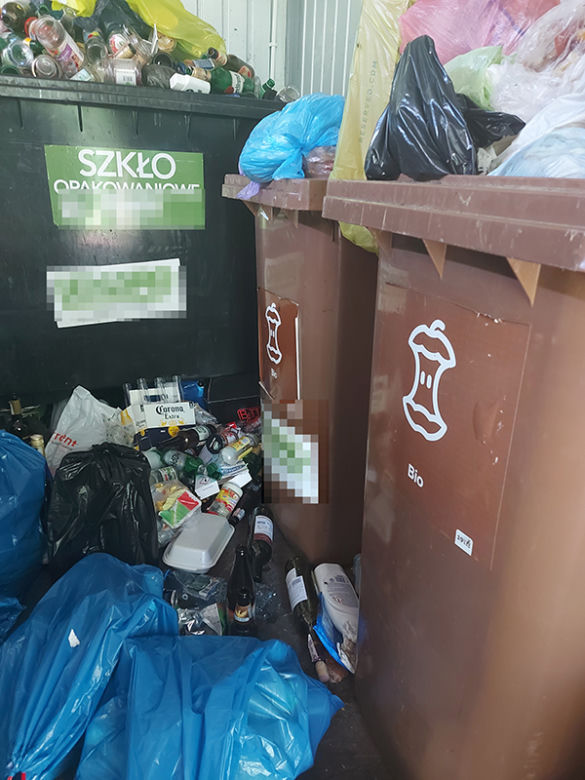 Plaga Szczurów na Międzynarodowej