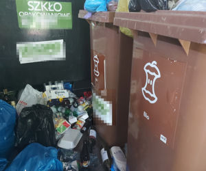 Plaga Szczurów na Międzynarodowej