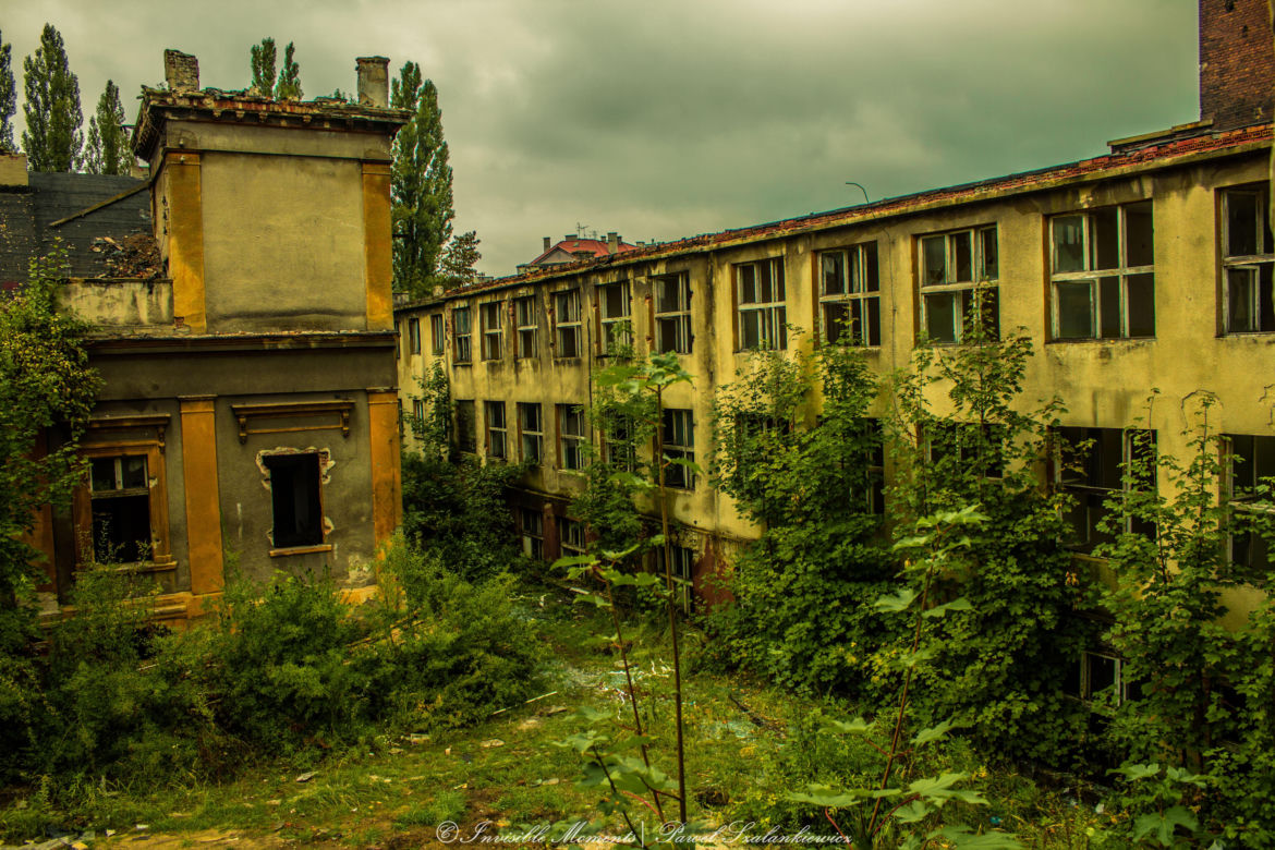 Huta Jedność karmiła całe Siemianowice Śląskie. Tak wyglądają tereny po niej