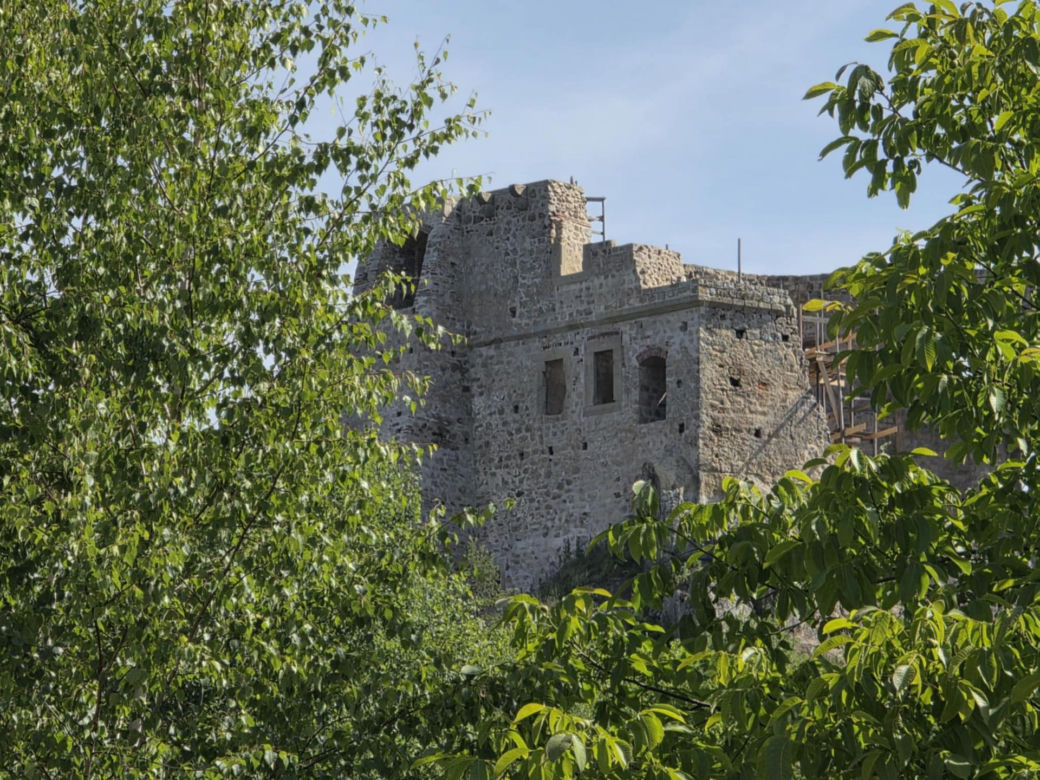 Zamek w Odrzykoniu 