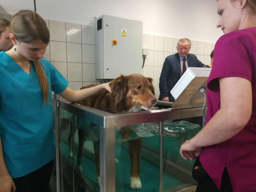 UTP w Bydgoszczy otworzył pracownie zoofizjoterapii!