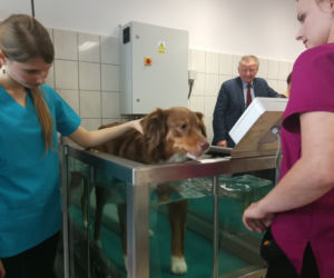 UTP w Bydgoszczy otworzył pracownie zoofizjoterapii!
