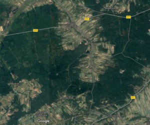 Gdzie pojechać do lasu blisko Rzeszowa?  Tu nie musisz nosić maseczek [LISTA MIEJSC]