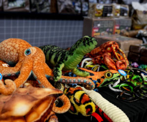 Giełda minerałów w Spodku przyciągnęła tłumy! GeoExpo ekspozycję wspaniałych cudeniek