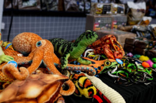 Giełda minerałów w Spodku przyciągnęła tłumy! GeoExpo ekspozycję wspaniałych cudeniek