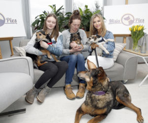 Goście Zespołu ds. Ochrony Zwierząt w Sejmie