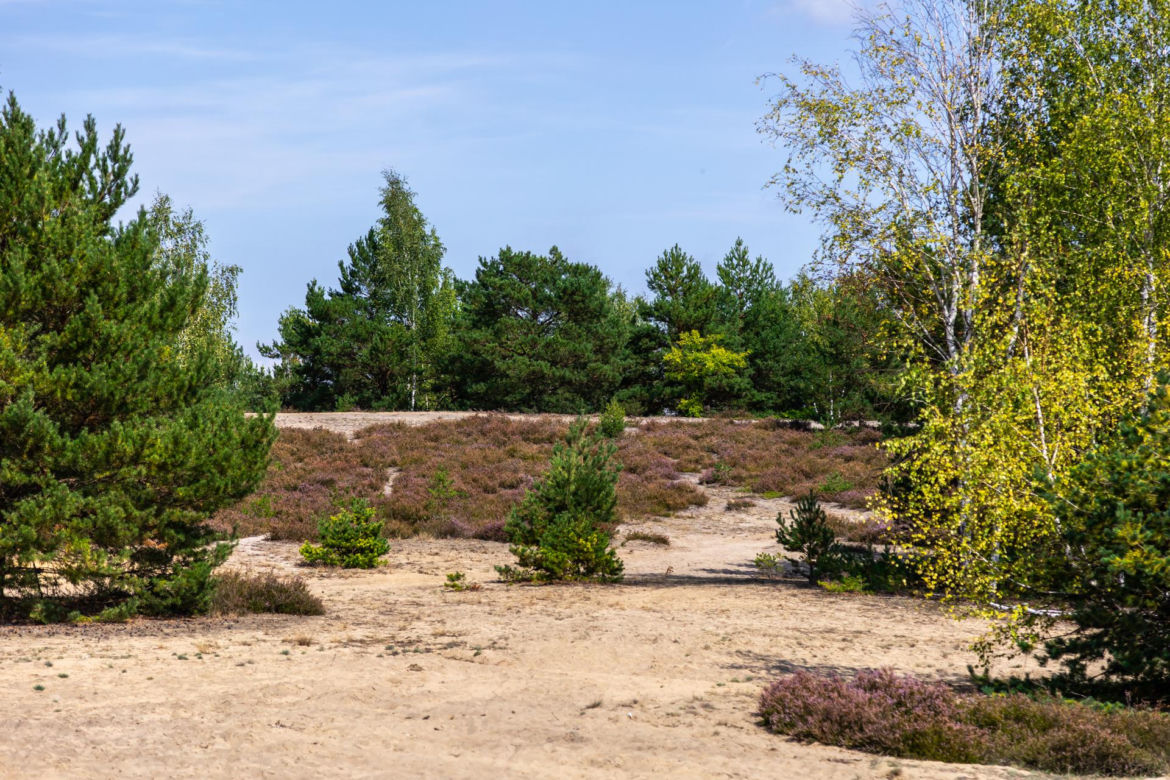 Wrzosowiska Mostówka