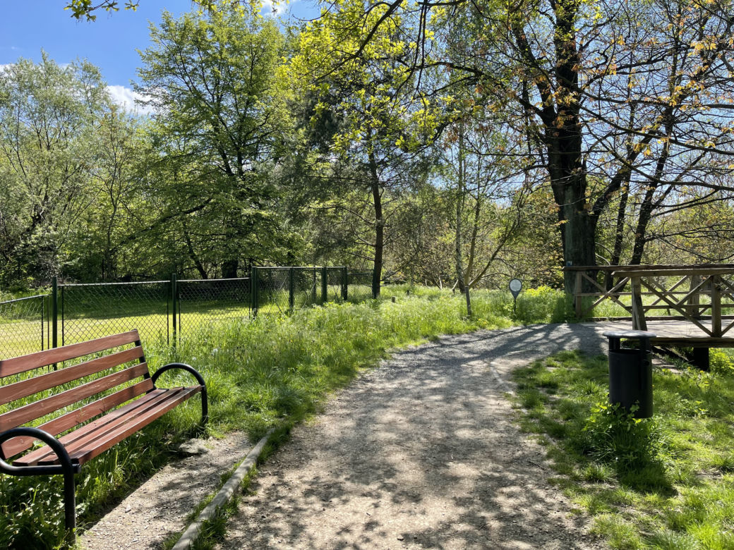 Kraków ma najdłuższy park w Polsce. Poznajcie Młynówkę Królewską! 