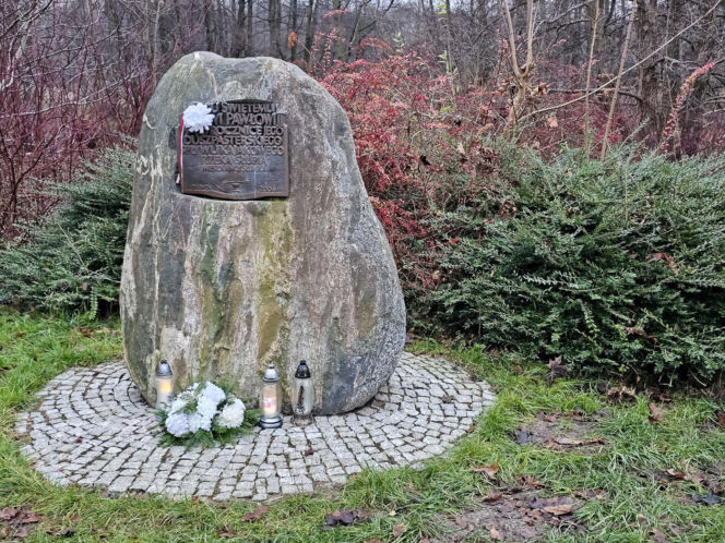 Zabił kolegę, poćwiartował i wyniósł w walizce. Szczątki zakopał w parku miejskim. Biegli nie mają wątpliwości