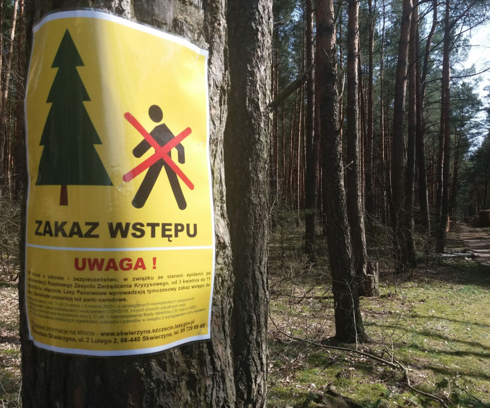 Skwierzyna 