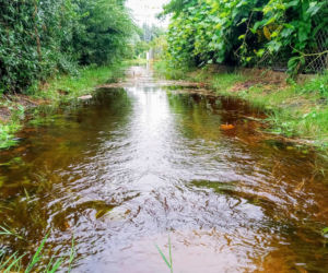 Wyspa Pucka po ulewie 40-lecia