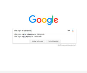 Rzeszów w Google