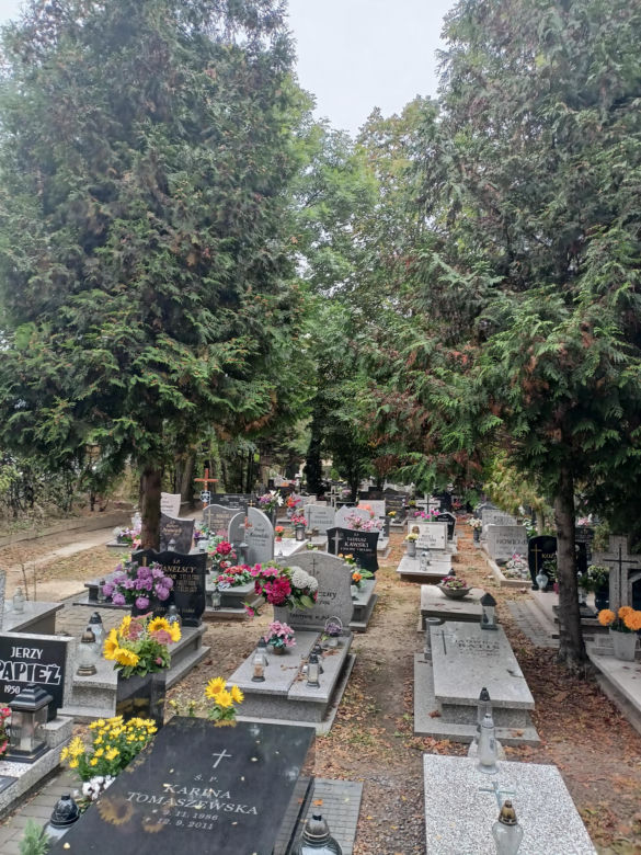 Ceny zniczy i wiązanek. Cmentarz Winiarski - Piątkowo Poznań