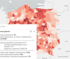 Koronawirus w województwie śląskim. Tak wygląda sytuacja w poszczególnych powiatach [RAPORT, 19 MARCA]