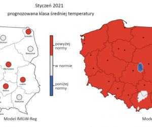 Jaka będzie zima 2020/2021? Czy spadnie śnieg? Prognozy są miażdżące. WAŻNY komunikat [PROGNOZA POGODY, MAPY, MIASTA, WOJEWÓDZTWA]