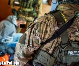 Policja zatrzymała sutenerów