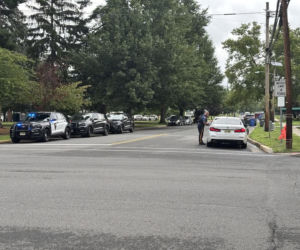 Policjant przebrał się za krzak! Na efekty nie trzeba było długo czekać