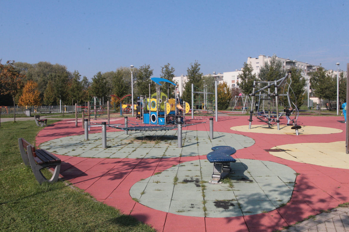 Dzikie harce dzików na Białołęce. Zwierzęta zdemolowały park!