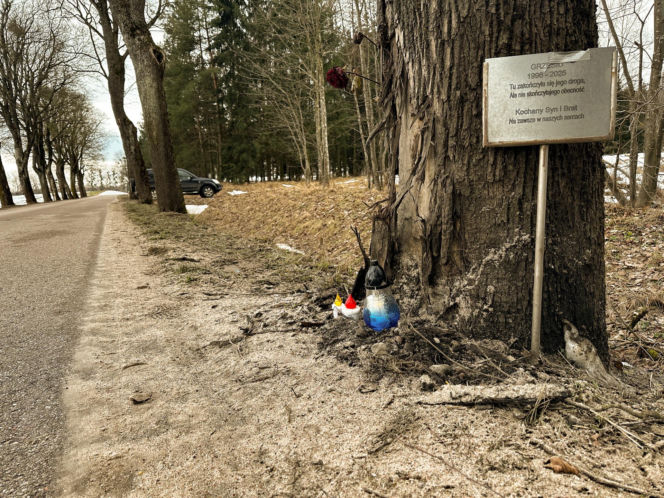 Zepchnął Grzegorza z drogi. Prokuratura: to nie był wypadek