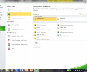 Microsoft Office 2010 PL - polski Excel 2010