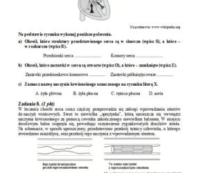 Matura 2013 biologia p. podstawowy
