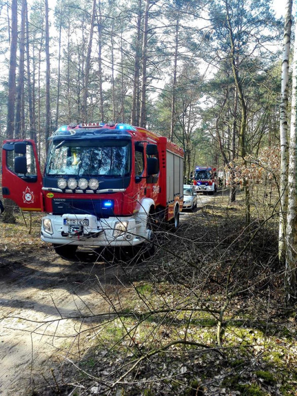 Dramatyczne chwile koło Torunia. Mężczyznę przygniotło drzewo