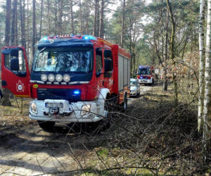 Dramatyczne chwile koło Torunia. Mężczyznę przygniotło drzewo