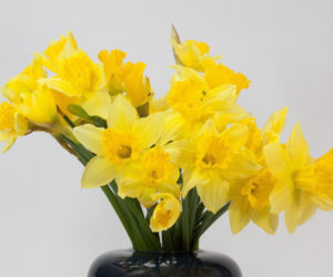 Tych kwiatów nie kupuj, jeśli nie chcesz spać w salonie. Nie uwierzysz, co oznaczają!