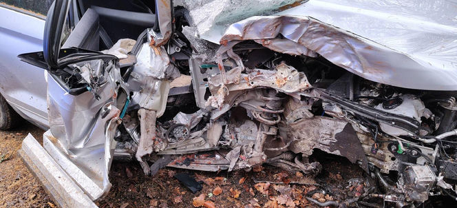 Skoda z dwiema osobami w środku uderzyła w drzewo. 4-letnie dziecko trafiło do szpitala