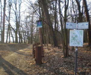 Bieganie w Warszawie: 10 najlepszych tras na poranny jogging [GALERIA]