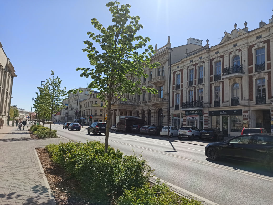 Wiosna w Lublinie