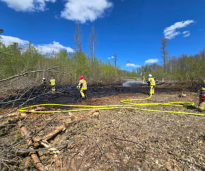 Plaga pożarów nieużytków i łąk w powiecie kraśnickim. W lasach obowiązuje wysokie zagrożenie pożarowe
